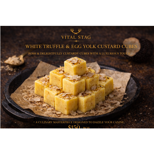 White Truffle & Egg Yolk Custard Cubes