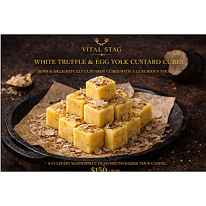 White Truffle & Egg Yolk Custard Cubes